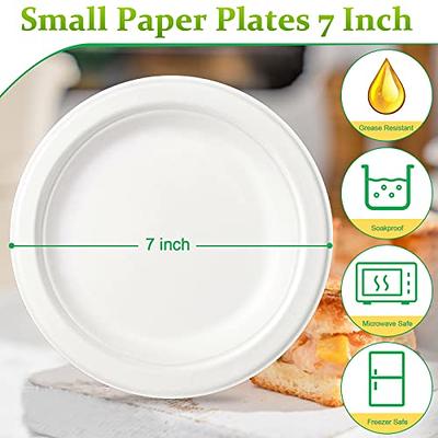 Basics Everyday Paper Plates, 8 5/8 inch, Disposable, 100 Count
