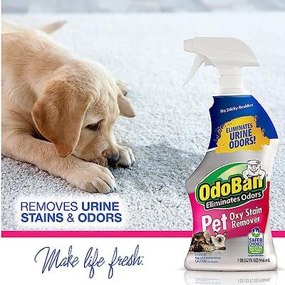 Resolve Stain & Odor Remover, Ultra, for Pet Messes - 32 fl oz