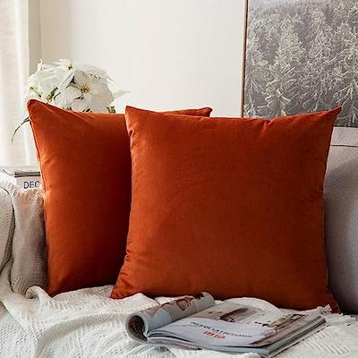Decorative Couch Cushion Covers