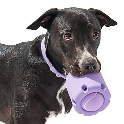 Petsrook Ball Toy Interactive Dog Toys with Fun Squeaky Chewing Training  Teeth