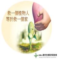 為花蓮植物人“澡”到愛