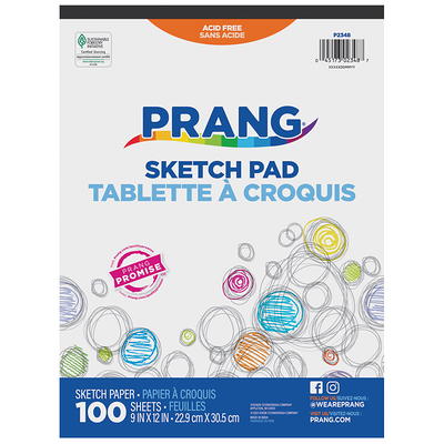 Prang (Formerly Art Street) Construction Paper, 10 Assorted Colors,  Standard Weight, 9 x 12, 500 Sheets, 4 Count