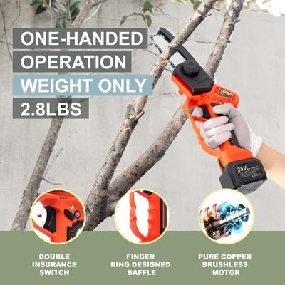 Cordless Mini Chainsaw with 10FT Telescopic Extension Pole, T