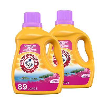 Arm and Hammer 16 oz. Hanging Moisture Absorber (3-Pack), Fragrance Free  FGAH33 - The Home Depot