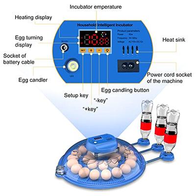 LITTLE GIANT Egg Candler