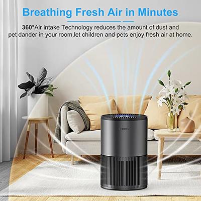 AIRTOK Air Purifiers for Bedroom Home, H13 True HEPA Air Filter for Smoke,  Dust, Odors, Pollen, Pet Dander 99.97% Removal, Air Purifiers Large Room