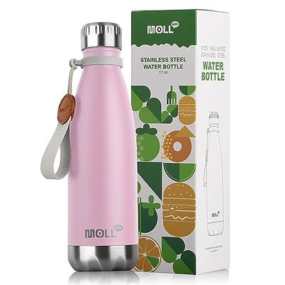 Plywell 16 oz. Blue Stainless Steel Coffee Bottle, Tea Infuser Bottle, Sports Water Bottle with LED Temperature Display