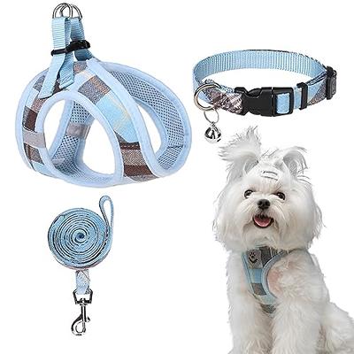 YOULY The Classic Blue Webbed Nylon Dog Collar, Small