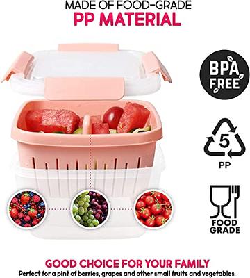 Fruit Storage Containers for Fridge with Removable Colanders, Dishwasher  Safe, Produce Saver Containers for Refrigerator to Keep different Berry,  Fruits, Vegetables, Meat Fresher Longer 