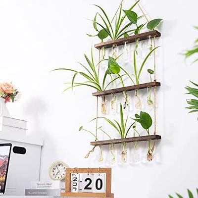 Clear Glass Vase Tubes Set Hanging Flower Holder Plant Container Flower  Vases for Homes Room Decor