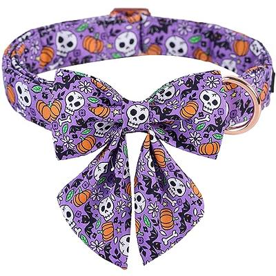 ARING PET Halloween Dog Collar Cute Pumpkin Dog Collar with Flower, Cotton  Purple Skull Bat Dog Collars Girl Daisy Puppy Collar with Metal Buckle -  Yahoo Shopping