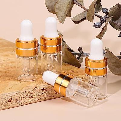 FRCOLOR 2pcs Perfume Bottle Glass Container Makeup Containers Travel  Containers for Liquids Portable Spray Bottle Beauty Bottle Amber Dropper  Bottles