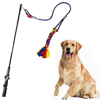 Cat Caster Fishing Pole Toy, Tangle Free, Retractable & Easy to Store.  Includes Two Interchangeable Teaser Toys