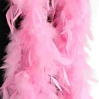  WXJ13 10 Pack 6.6ft Colorful Feather Boas, Natural Turkey  Feathers Women Girls Dress Up Boa Craft Wedding Party Dress Up Halloween  Costume Decoration Stage Performances Photo Shoot : Clothing, Shoes 