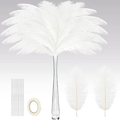 80 Set Natural White Ostrich Feathers Bulk with Iron Wire for Centerpieces  Boho Large 10 to 12 Inch Feathers for Vase Wedding Party Floral Arrangement  Home Decorations - Yahoo Shopping