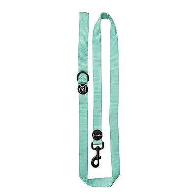 ShawnCo Dream Walk Dog Leash- Premium, Nylon Pet Leash with Soft