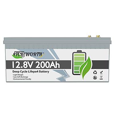 TCBWORTH Lithium Battery 12V 100Ah LiFePO4 Batteries with 100A BMS, Deep  Cycle Rechargeable Lithium Iron Phosphate Battery, for Solar, Marine,  Trolling Motor 