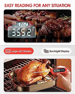 hoyiours Meat Thermometer Digital, Instant Read Meat Thermometer for Cooking,  Food Thermometer with Long Probe and Blacklight, Kitchen Thermometer  Temperature for Oven, Candy, Grill, BBQ, Red - Yahoo Shopping