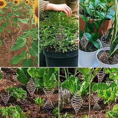 Electroculture Plant Stakes, 6pcs Electro Culture Gardening Copper Coil  Antennas For Growing Garden Plants Vegetables, Copper Antenna Coils
