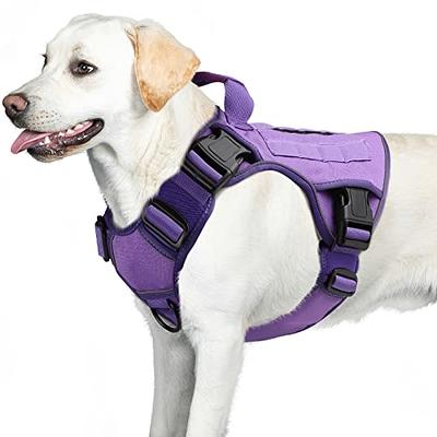 WINGOIN Purple Tactical Dog Harness Vest for Small Dogs No Pull