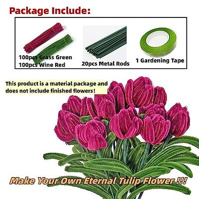  200pcs Pipe Cleaners Craft Supplies, Chenille Stems Flower  Craft Kit Beautiful Cleaners Craft Flower Making DIY Tulip Bouquet Making  for Art Classroom Mother's Day(Purple) : Arts, Crafts & Sewing