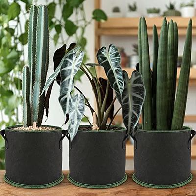 VIVOSUN 5-Pack 25 Gallons Grow Bags Thickened Nonwoven Fabric Pots with  Handles