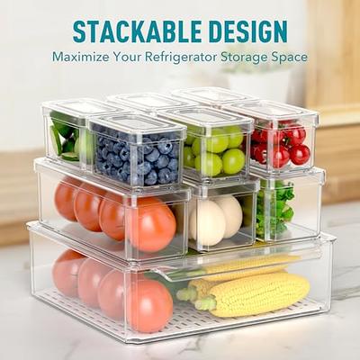 Fruit Storage Containers for Fridge - 10-Piece Kitchen Organizers Leak  Proof Produce Saver and Veggie Storage Bins Set for Refrigerator, Plastic