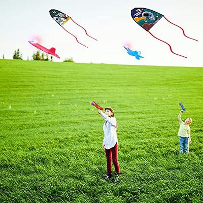 2 PCS Launcher with 4 Kite Toy Set Kite Beach Toy, Kite Launcher Toys,  Funny Beach Kite Toy Outdoor Toys for Kids, Launcher Ejection Kite Beach Toy