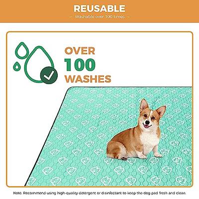 2 Pack Washable Pee Pads for Dogs, 48 x 60 Dog Pee Pads Extra Large,  Non-Slip Dog Training Pads Puppy Pee Pads Reusable Potty Pads Dog Pads for  Incontinence, Playpen, Crate 