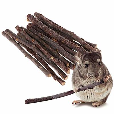  Bojafa 250g Apple Sticks Small Animals Molar Wood Treats Toys  for Rabbits Chinchillas Guinea Pig Hamster Gerbil Parrot Bunny and Small  Animals Chew Stick Toys Treats : Pet Supplies