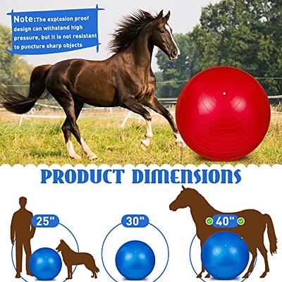 ANC POP Herding Ball for Dogs Horse Ball & Ball Cover 25 Ball for Horses  Large with Hand Pump for Play Herding Ball Herding Ball Horse Toys for