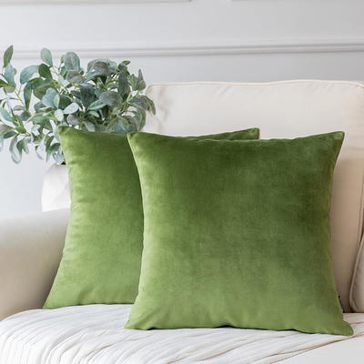 Phantoscope Soft Solid Square Velvet Decorative Throw Pillow Cover for  Couch and Sofa, 22 x 22, Green, 2 Pack - Yahoo Shopping