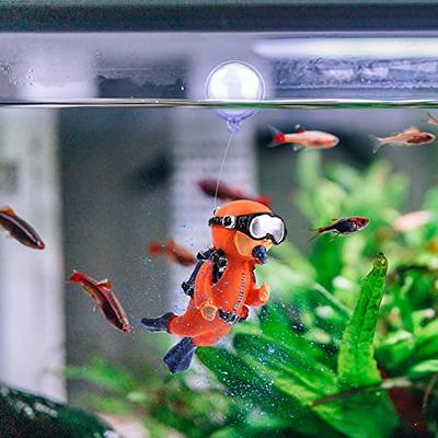 Aquarium accessories