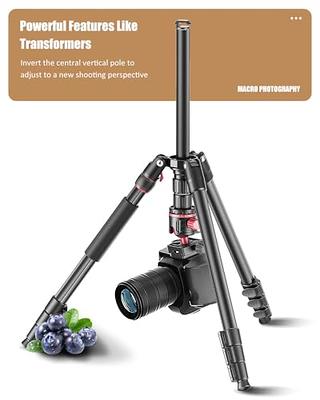 Basics 50-inch Lightweight Camera Mount Tripod Stand With Bag,  Black/Brown