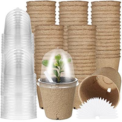 Peat Pots 4 Round