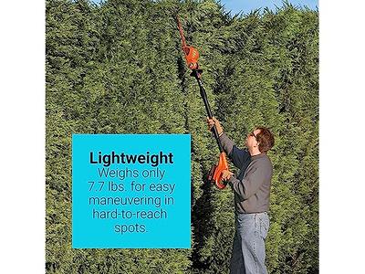 BLACK+DECKER Electric Hedge Trimmer, 17-Inch (BEHT150)