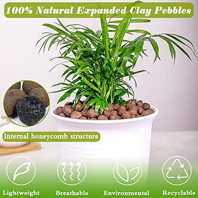 Sukh Clay Pebbles for Plants - 15OZ Pebbles for Indoor Plants Natural  Clay,Used for Drainage Decoration Aquaponics Hydroponics and Other  Essentials