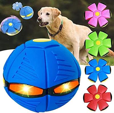 Leitee 2 Pack Dog Ring Toys Indestructible Dog Toys Dog Chewing Ring Toy  Flying Discs Floating Dog Training Tools Dog Fetch Toy for Small Medium  Large