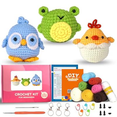 KOKNIT Crochet Kit for Beginners Adults - 2 Pcs Crochet Crafts,Complete DIY  Knitting Kit for Biginners,Crochet Tools and Accessories kit with