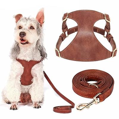 BEAUTYZOO No Pull Small Dog Harness and Leash Set, No Chock Puppy Step in  Vest Harness Nylon Lightweight Neck&Chest Adjustable for Dogs Girls and  Boy