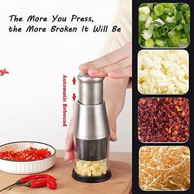Manual Pressing Multi-function Onion And Garlic Crusher And Food Cutte