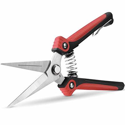 Kynup 2Packs Pruning Shears for Gardening, Garden Shears Heavy Duty,  Professional Bypass Pruner Hand Shears, Tree Trimmers Secateurs, Garden  Clippers for Plants, Hedge Shears, Garden Tools (Red) - Yahoo Shopping