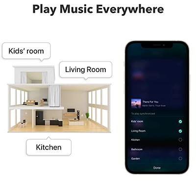  WiiM Pro Plus AirPlay 2 Receiver, Chromecast Audio, Multiroom  Streamer with Premium AKM DAC, Voice Remote, Works with Alexa/Siri/Google,  Stream Hi-Res Audio from Spotify,  Music, Tidal and More : Electronics