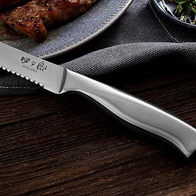 SIXILANG Steak knife Set, 4-Piece Premium Stainless Steel Steak Knives  Serrated, Ergonomic Handle Highly Resistant and