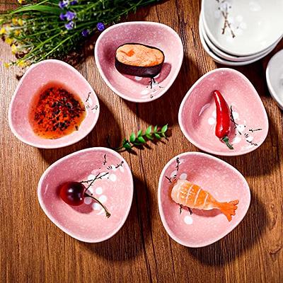 Japanese Sushi Set Porcelain Sushi Plates Soy Sauce Dipping Bowls