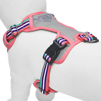 YOULY The Extrovert Water-Resistant Pink & Blue Colorblocked Dog Collar,  Small