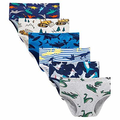  Boboking Little Boys Briefs Dinosaur Truck Toddler Kids  Underwear