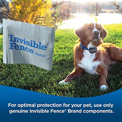 INVISIBLE FENCE BRAND Power Cap Batteries for MicroLite and MicroLite Plus  Computer Collar Units – Also compatible with MaxDog and MaxDog Plus Invisible  Fence Dog Collars - 2 Pack - Yahoo Shopping