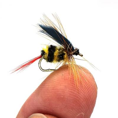  DiscountFlies Nymph Fly Fishing Flies – Fishing Kit w/Trout  Flies + Fly Box – Realistic and Effective Trout Fishing Gear – Nymph Flies  for Fly Fishing on Strong, Sharp Hooks. 