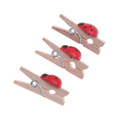 WOONEKY Red Clothespins Woodsy Decor Photo Decor Clips Wooden Photo Clips  Wooden Clothes Pegs Lovely Photo Clip Photo Pegs Holder Picture Little Clip  Small Coat Cute Wooden Clip 100pcs - Yahoo Shopping